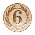 Emblém číslice 6, pr. 25 mm, zlato