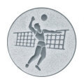 Emblém volejbal, pr. 50 mm, zlato
