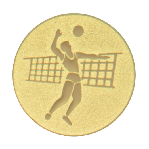 Emblém volejbal - muž, pr. 25 mm, zlato