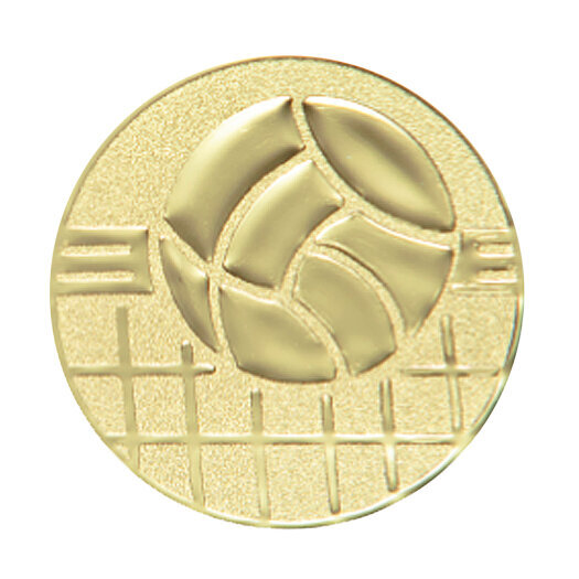 Emblém nohejbal, pr. 25 mm, zlato