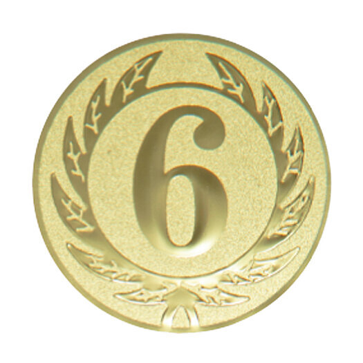 Emblém s číslicí 6, pr. 50 mm, zlato