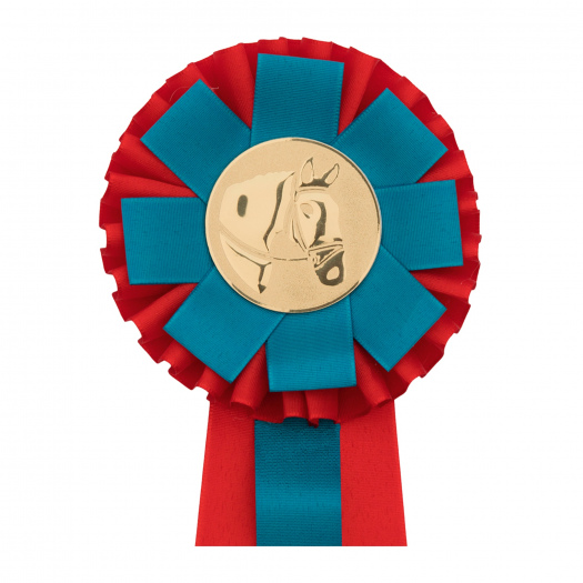 Kokarda dvouřadá VĚJÍŘ, průměr 11 cm