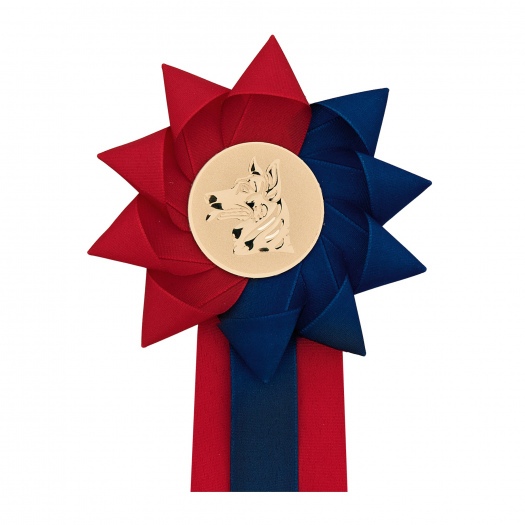 Kokarda jednořádá VĚJÍŘ půlená, průměr 13 cm